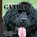 A Dog Named GANDER
