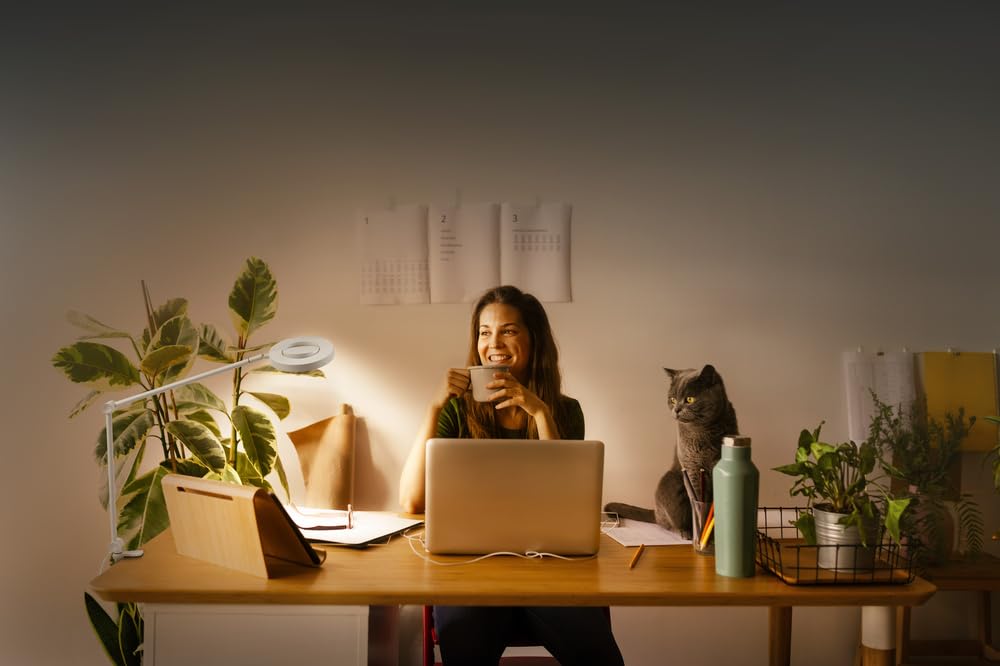 LEDVANCE SunHome Panan Desk Disc lampada da scrIvania, bianca, 15W, 1200lm, luce bianca regolabile (da 2200K a 5000K), dimmerabile, adatta automaticamente la luce al bioritmo, IP20