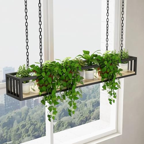 Panier suspendu flottant noir de plafond pour protéger vos plantes des chats - 2
