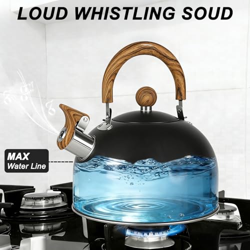 Bouilloire en acier inoxydable de qualité alimentaire supérieure 2,7L - 3