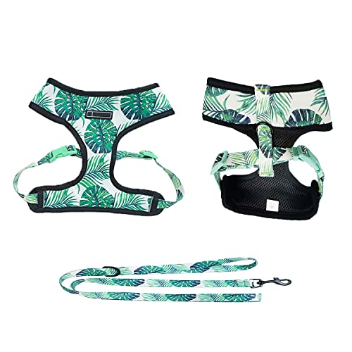 Image of HDKUW Dog Harness and Leash Set, Adjustable Dog Vest Harness Set, Outdoor Walking Vest Harness for French Bulldog and Puppy Small Medium Large Dog XL