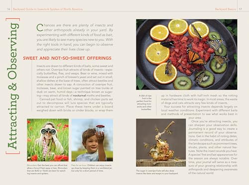 National Geographic Backyard Guide to Insects and Spiders of North America (National Geographic Backyard Guides) - Image 6