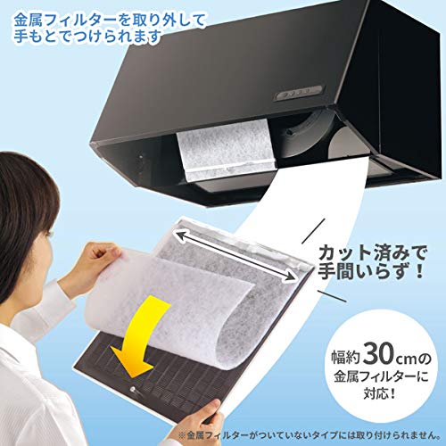 Amazon.co.jp: 東洋アルミエコープロダクツ レンジフードフィルター