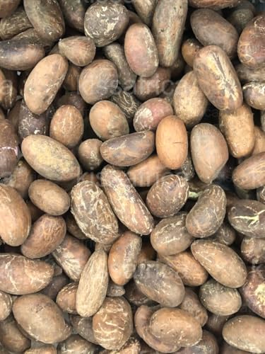 Petit Cola – Lot de 6 Noix de Cola Traditionnelles...