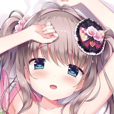 Amazon.co.jp: すたいらす ミニバラ 2016 抱き枕 カバー アクア 