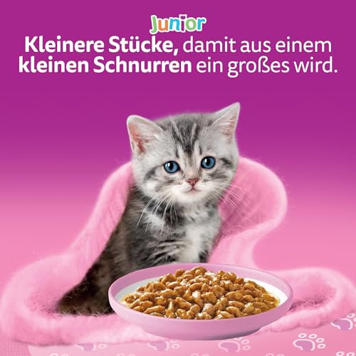 Whiskas Junior Katzennassfutter Klassische Auswahl in Sauce, 48 Portionsbeutel, 12x85g (4er Pack) – Hochwertiges Katzenfutter nass, für heranwachsende Katzen von 2 bis 12 Monaten