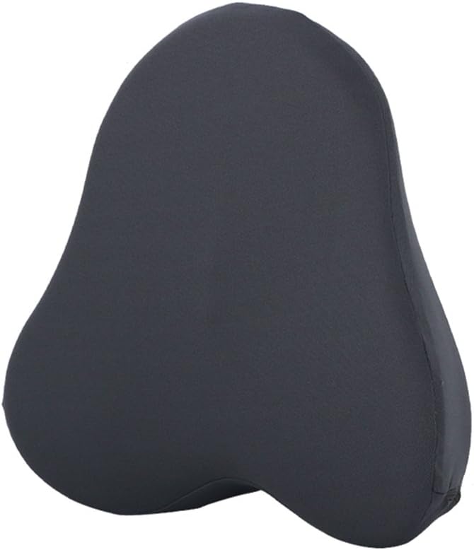 LOCEN Memory Foam Lumbar Support Cushion,Posture Therapy Back Support Pillow for Car Travel Office Home- Relieve Lower Back,Disc Pain(Darkgray)