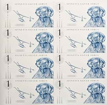 Silver Sogo (2Lps): Amazon.ca: Music