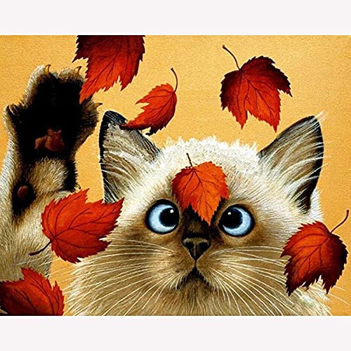 Peinture Kits Full Drill chaton Broderie Point De Croix Art Crafts