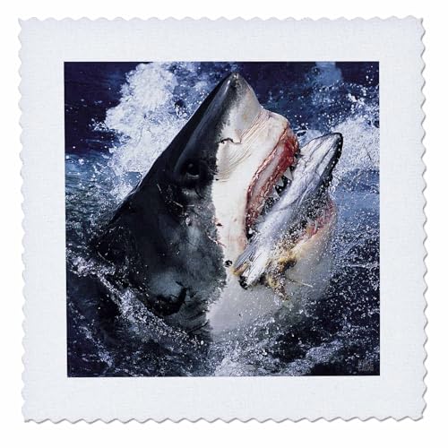14x14 inch Quilt Square - Great White Shark Shark