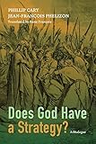 Does God Have a Strategy?: A Dialogue