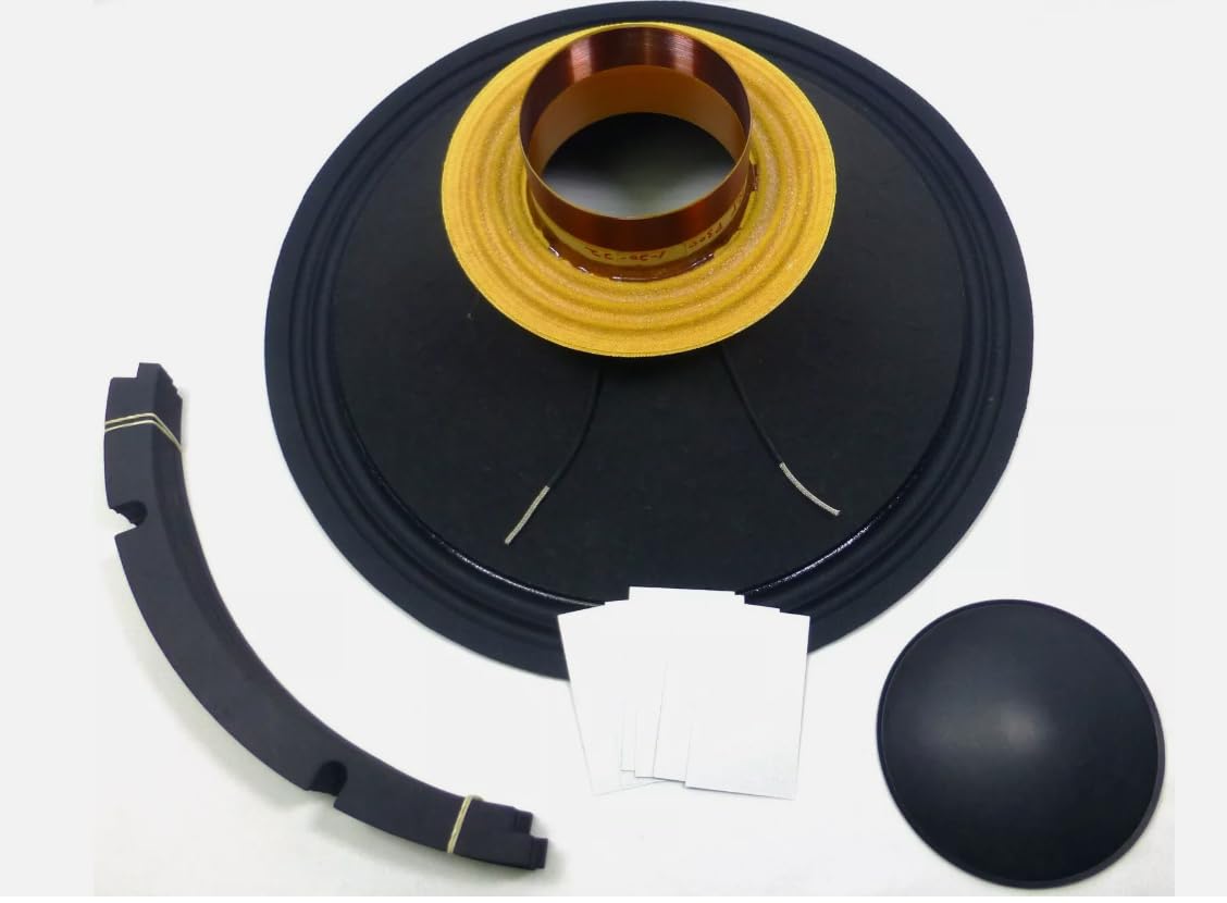 Amazon.com: LASE Replacement RCF L18P300, EAW LC1815 Re-Cone Kit