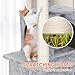 Nova Microdermabrasion Cat Tree for Indoor Cats Cat Tower Cat Scratching Post 34 in Cat Condo Ultra Soft Plush Covering Cat Furniture for Kittens Pet Play House
