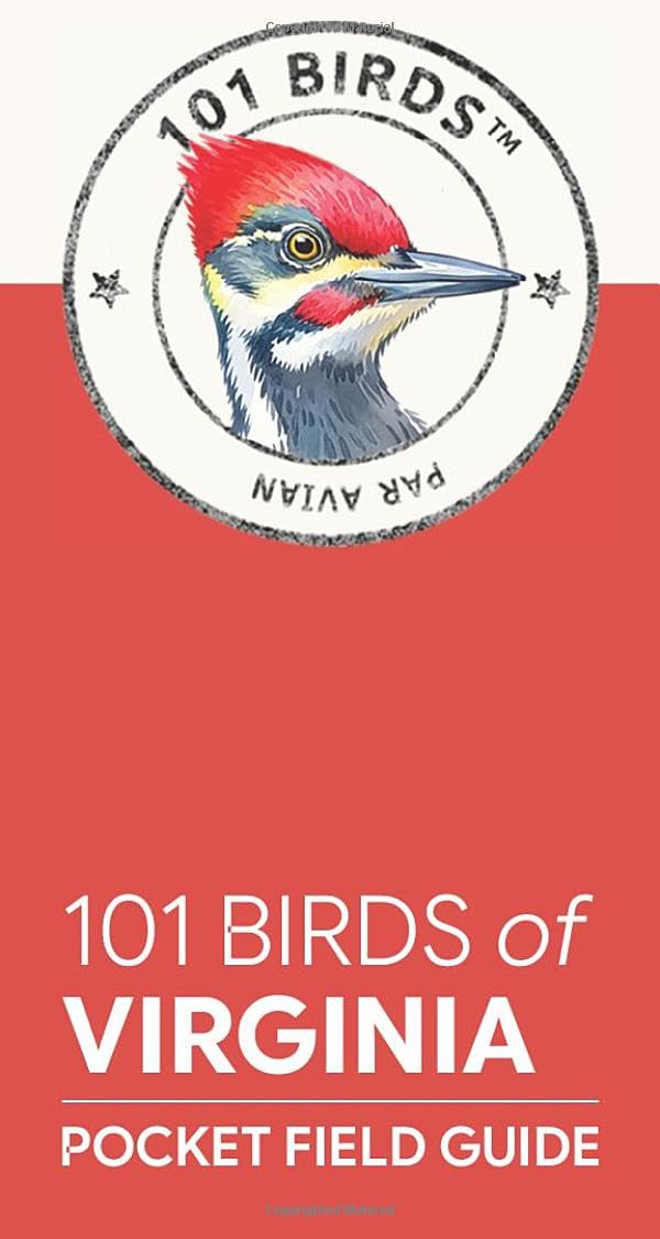 101 Birds of Virginia: 101 Birds (101 Birds Pocket Field Guides)