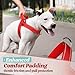 rabbitgoo Dog Harness No Pull, Quick Fit for Small Dogs with Soft Padded Handle, Chest Adjustable Reflective Pet Vest, No Choke Escape Proof for Walking Training, Red M