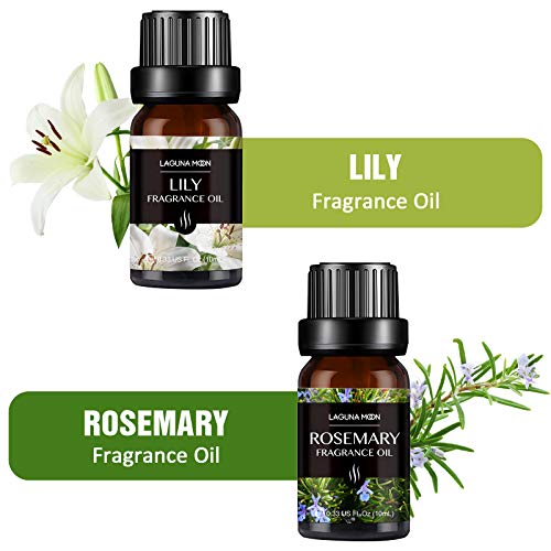 Lagunamoon Floral Set of 6 Fragrance Oils Gift Set, Parma Violet, Freesia, Lily, Rosemary, Jasmine, Vanilla Fragrance Oil for Candle Making, Soap Crafting, Bath Bombs, Diffuser, 10ML/Bottle