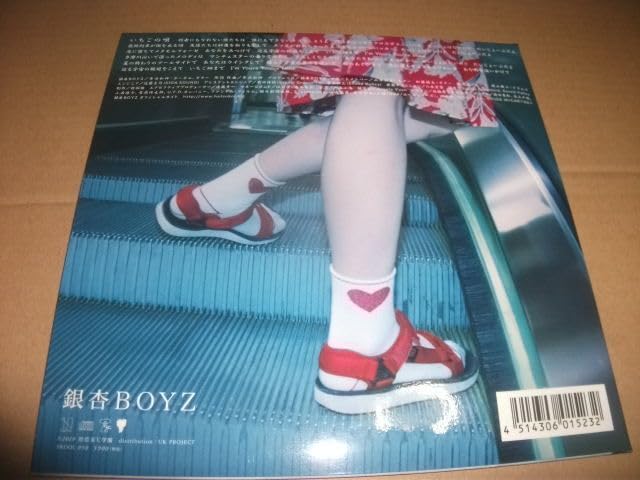 いちごの唄 特典エコバッグ 銀杏BOYZ 峯田和伸 Amazon.co.jp: 銀杏BOYZ 劇場限定CD いちごの唄 峯田和伸 GOING STEADY