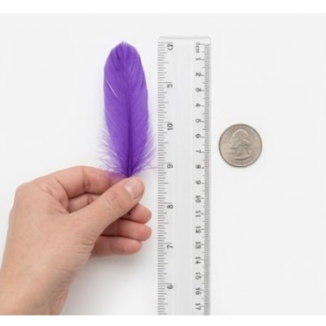 Colourful Craft Feathers, Multicolour, Soft Natural Texture, Premium Quality, for DIY Arts and Crafts by Kawaii Store 4