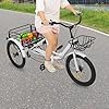 Levkitch 20 Inch Foldable Adult Tricycle, 7 Speed Adult Trike 3 Wheels Cargo Bike with Basket Bell for Seniors Adults Men and Women Shopping, Outdoor Sports, Adjustable Height Seat (White) #1