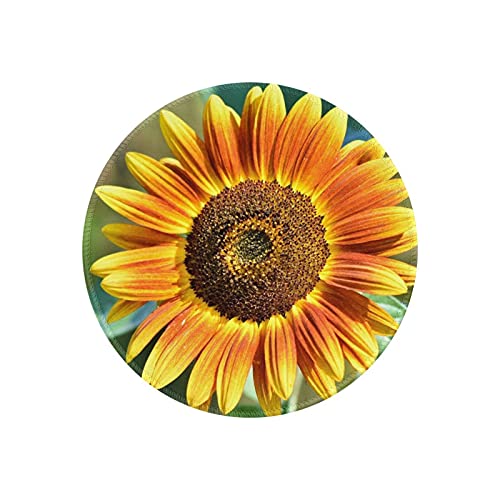 }EXpbh ی^ Ђ܂  ʐ^  h ~ S Q[~O}EXpbh m[gp\R PC Eh}EXpbh fXN}bg ϋvǂ ItBXp rWlXp ƒp Q[p ~` 20cm