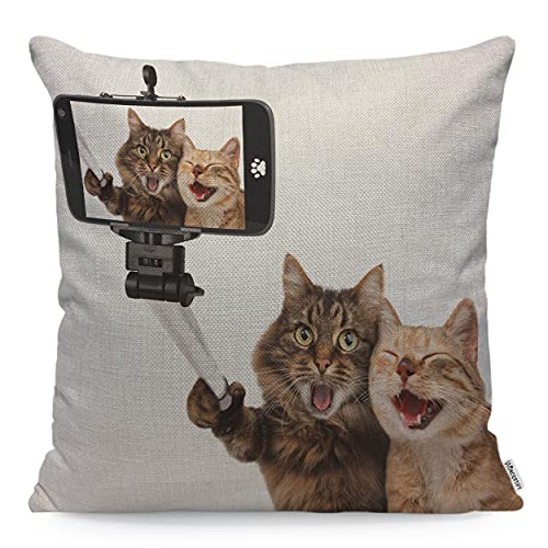 WONDERTIFY Housse de coussin humoristique avec chats qui prennent un selfie - Housse de coussin pour canapé, décoration d'intérieur - Marron et blanc - 45 x 45 cm Cover