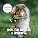 Rudelkönig Futterbeutel Hundetraining - Apportierbeutel für Hunde