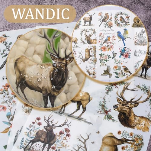 WANDIC 3 Sheets Rub On Transfer Sticker, Animals Theme Stickers for DIY Scrapbooking Photo Albums furniture,5.9 * 11.8in - Image 4