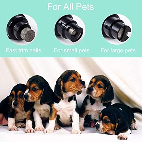 Alpha Paw Nail Trimmer For Pets, Heavy Duty Electric Dog Nail Grinder For Small, Medium, And Large Breed Dogs, And Cats - Painless Pet Dog Nail Trimmers - Quiet Dog Nail Clipper - Usb Rechargeable #TOP5