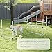 Imagen de PawHut Set de Entrenamiento de Agilidad para Perros Mascotas 4 Piezas Obstáculos Vallas de Salto con Altura Ajustable y Bolsa de Transporte para Exteriores 99x65x94 cm Blanco