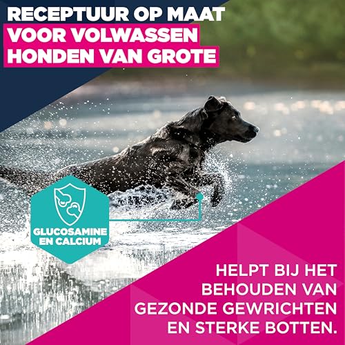 Eukanuba Hondenvoer Droog met verse kip voor grote rassen, premium droogvoer voor volwassen honden, 15 kg - Afbeelding 4