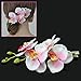 Polytree 4pcs Fashion Women's Grace Flower Hawaii Hair Clip Set