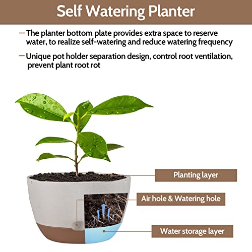 Eurcrbu 2 Pack Hanging Planters For Outdoor Indoor Plants, 10 Inch Plastic Outdoor Hanging Planter, Hanging Flower Pots For Outside With Drainage Holes & Removable Saucer For Garden Home (Beige) #TOP2