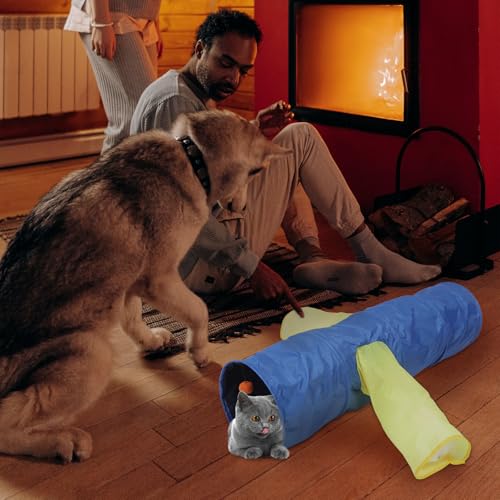 Túnel de Juguete para Gatos Contra el Aburrimiento HOODANCOS 6
