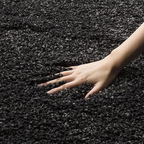Image of Ultra-Soft Shaggy Carpet (4 X 6 FEET, Grey) Fluffy, Cozy & Durable Area Rug for Living Room, Bedroom & More ? Premium Modern Design