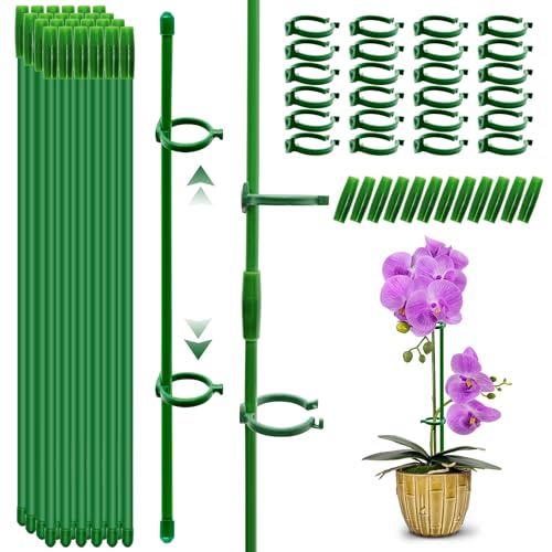 qianduoduo 24 bastoncini per orchidee, supporto per piante, 30 cm, con 24 moschettoni, con 12 tubi di prolunga, supporto per fiori, pomodori, piante da appartamento (60 pezzi)