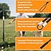GDuolaPaws Flirt Pole for Dogs,Heavy Duty 4 Pieces Set with 3 Lures,Interactive Teaser Wand for Small Medium Large Pets,Durable Flirt Stick for Chase,Outdoor Tether Play,Exercise,Training