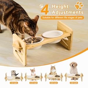 Elevated Pet Bowls for Cats & Small Dogs, Natural Bamboo with Ceramic Raised Small Dog Bowls, Cat Food Dish Bowls Elevated and 15° Tilted, Whisker Friendly, Dishwasher Safe