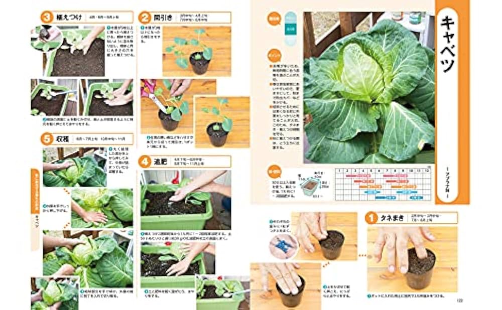 はじめてのコンテナ野菜づくり図鑑90種 | 北条 雅章 |本 | 通販