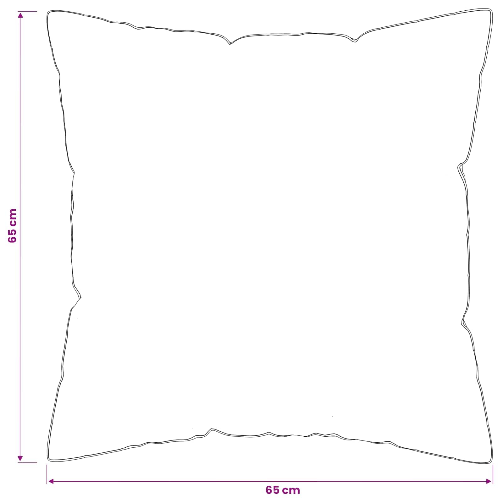 Fengshui Poduszka Fulda zestaw 2 szt., 65 x 65 cm, 100% puch gęsi