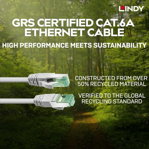 Cable Ethernet Lindy Cat 6A S/FTP 10 metros gris miniatura 3