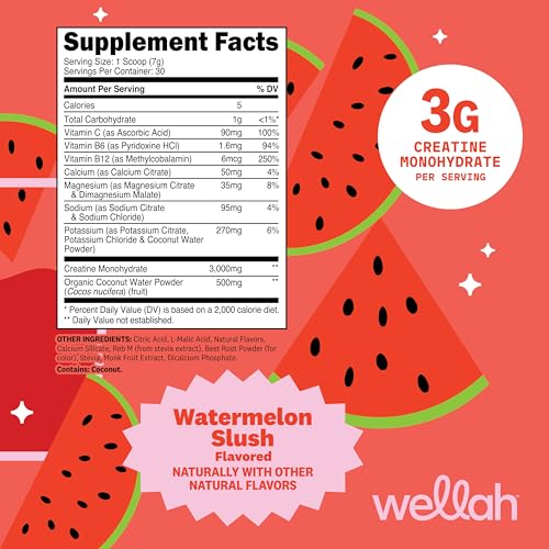 Image of Wellah Creatine + Electrolytes Powder (Watermelon Slush) 30 Servings - Hydration Drink Mix with 3g of Creatine Monohydrate