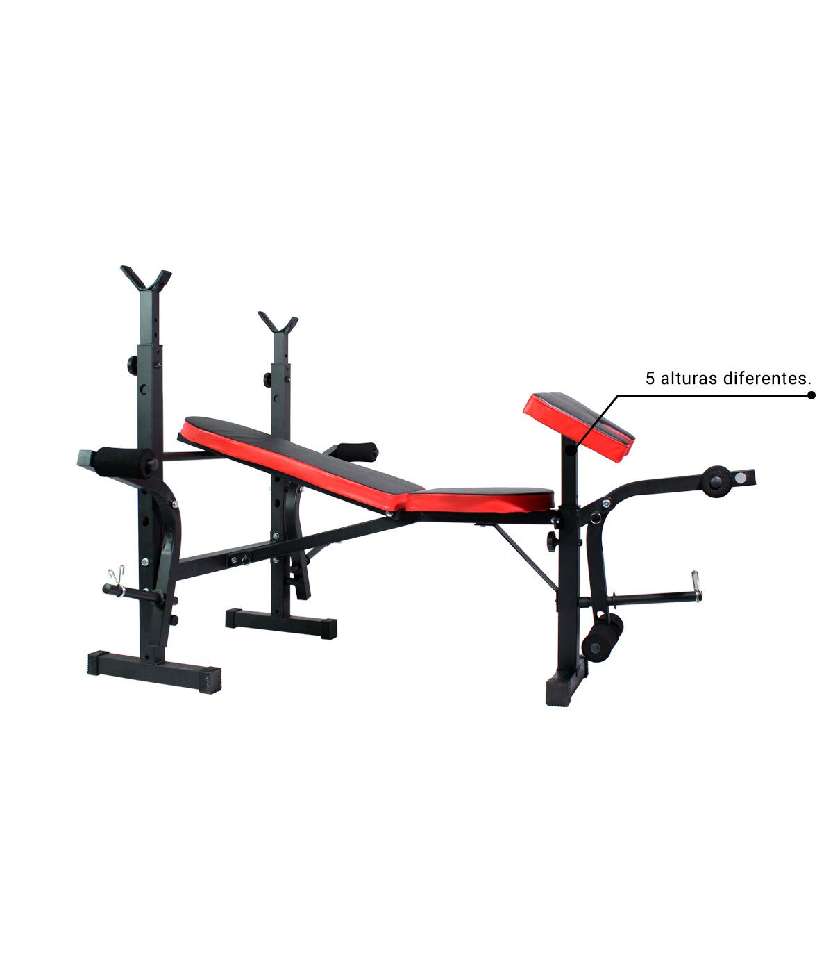 Banco De Musculación Multifunción Con Soporte Para Barras Y Pupitre