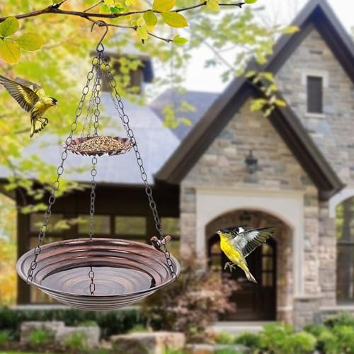Mangeoire à oiseaux sauvages pour observateurs passionnés