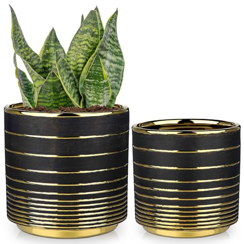Hollyone 2er-Set Blumentopf mit Drainageloch Keramik Pflanzentöpfe Rund Übertöpfe für Zimmerpflanzen Sukkulenten Topf für Outdoor Garten Pflanzgefäße, Schwarz