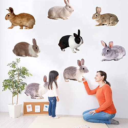 Dating Cute Rabbit Wall Decals Bunny Wall Stickers 3D Lovely Cute 8 Bunnies Rabbits Animal Wall Stickers Removable Wall Decals Art Decorations Decor For Nursery Baby Bedroom Playroom #TOP1