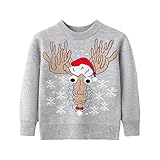 [HongzyFirm] クリスマス セーター キッズ ベビー服 ノルディック柄 可愛い プルオーバー 女の子 男の子 防寒 面白い 男女兼用 韓国風 丸首 子供 長袖 インナー トップス ニット 子供服 厚手 春秋冬 ニットセーター 暖かい 新年 プレゼント