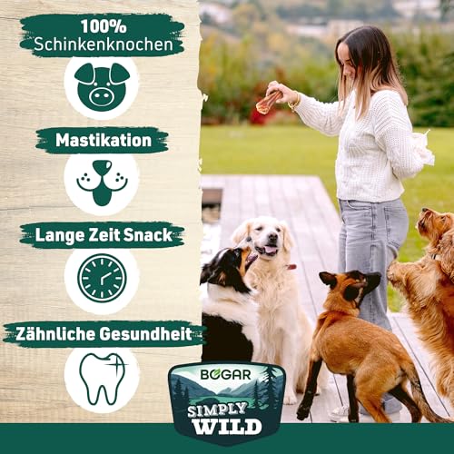 Bogar - Simply Wild - Hundeknochen – Hundefutter als Ergänzung zur täglichen Ernährung – Hundeleckerli in Form von 2 halben getrockneten Schweineknochen – Unterstützt die Hundepflege & Zahngesundheit