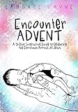 Encounter ADVENT: A 25-Day Interactive Guide to Celebrate the Christmas Arrival of Jesus