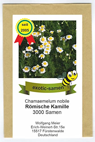 Römische Kamille - Bienenweide - Chamaemelum nobile - 3000 Samen