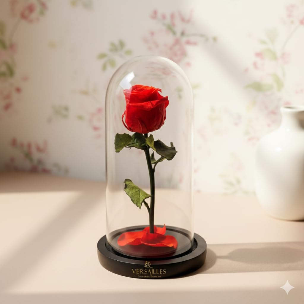 Versailles Forever Love LRR Preserved Red Rose in Glass Dome, Elegant Home Decor, Symbol of Eternal Love, Timeless Beauty-image-22